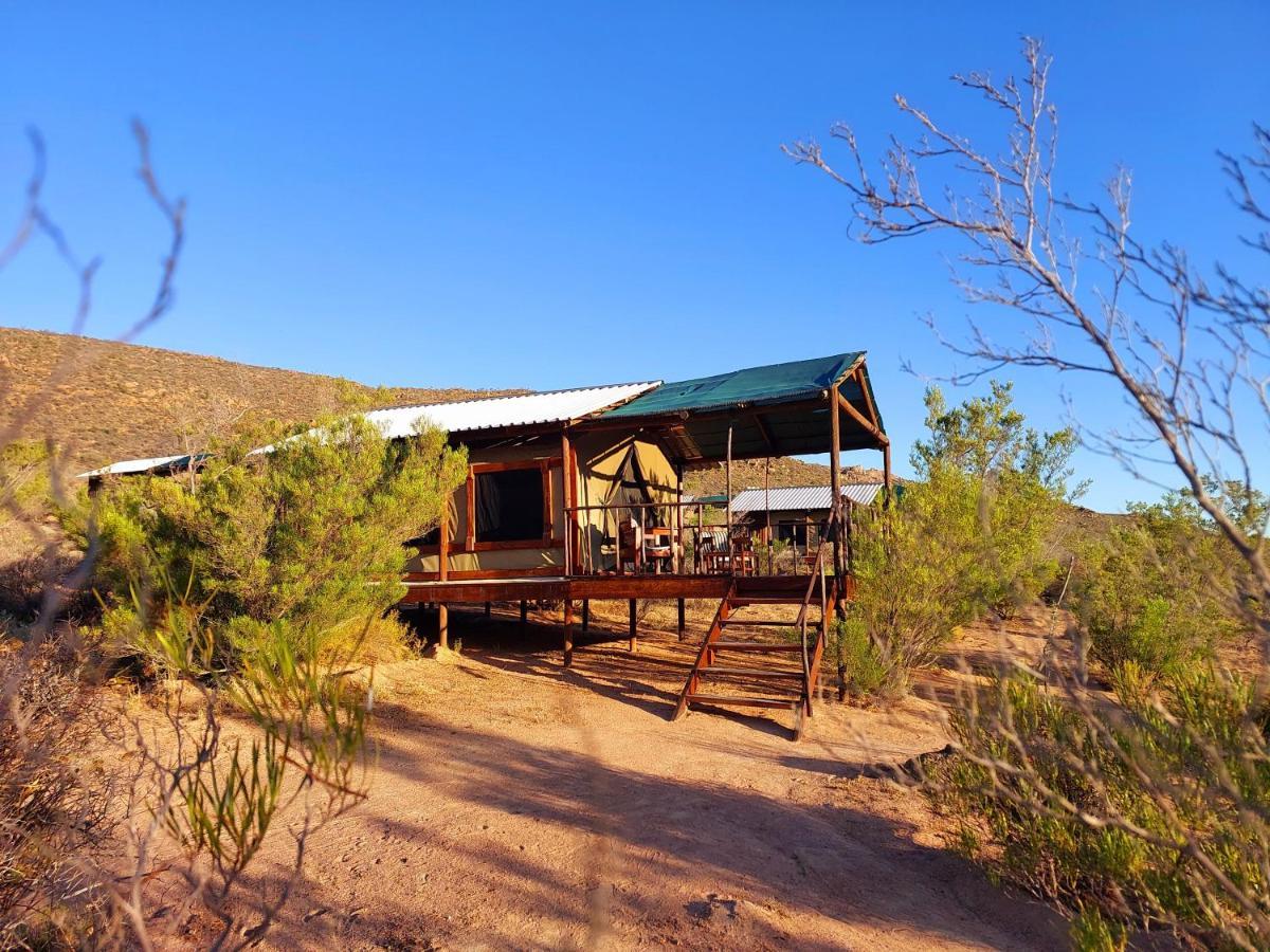 Agama Tented Camp Garies Ngoại thất bức ảnh
