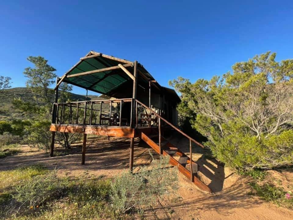 Agama Tented Camp Garies Ngoại thất bức ảnh