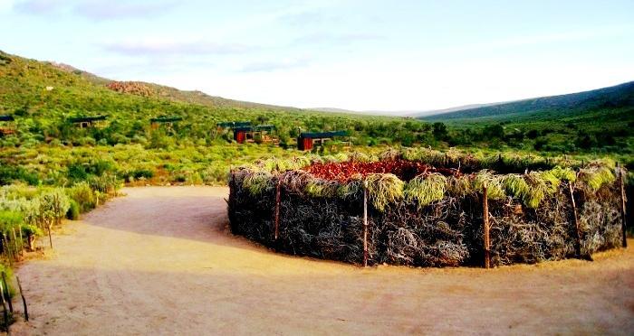 Agama Tented Camp Garies Ngoại thất bức ảnh