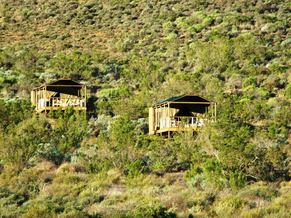 Agama Tented Camp Garies Ngoại thất bức ảnh