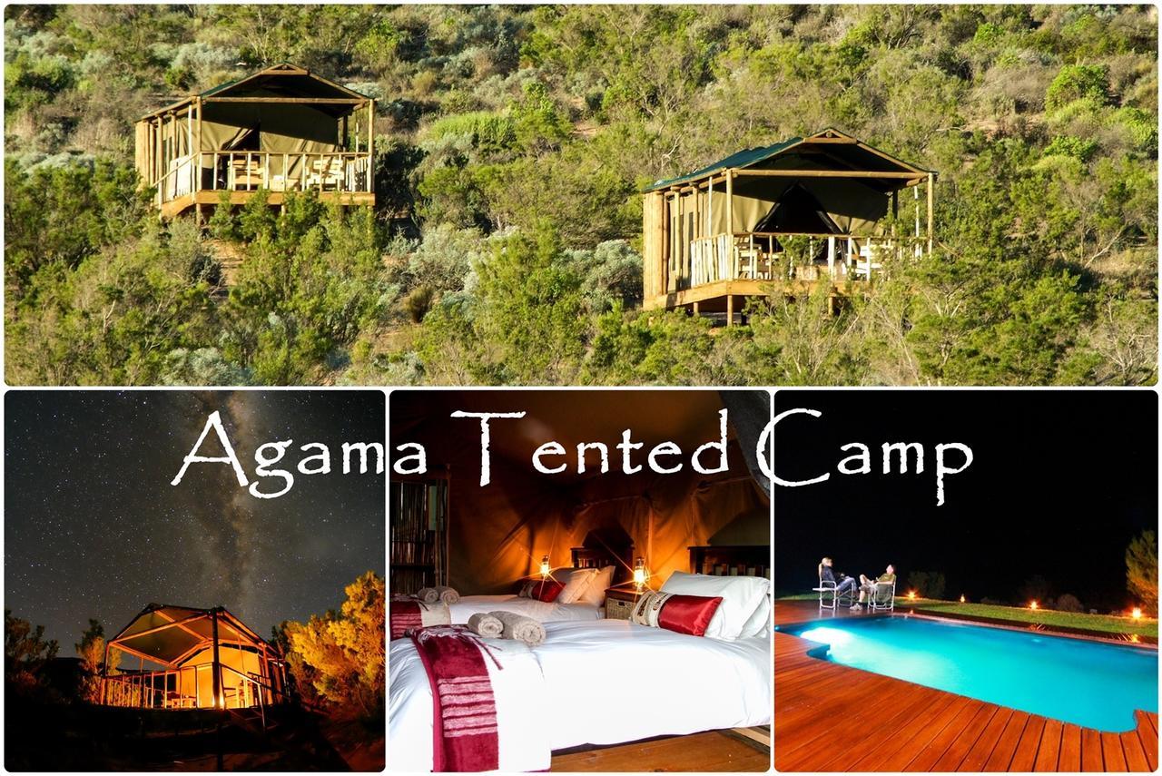 Agama Tented Camp Garies Ngoại thất bức ảnh